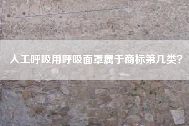 人工呼吸用呼吸面罩属于商标第几类? 人工呼吸用呼吸面罩属于商标第几类?