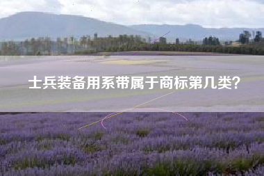 士兵装备用系带属于商标第几类? 士兵装备用系带属于商标第几类?