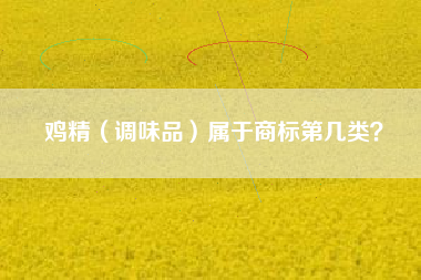 鸡精(调味品)属于商标第几类? 鸡精(调味品)属于商标第几类?