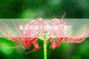 轧花机属于商标第几类? 轧花机属于商标第几类?
