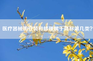 医疗器械的安装和修理属于商标第几类? 医疗器械的安装和修理属于商标第几类?