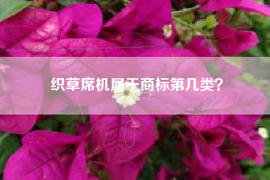 织草席机属于商标第几类? 织草席机属于商标第几类?