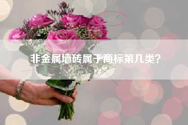 非金属墙砖属于商标第几类? 非金属墙砖属于商标第几类?