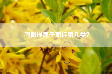 腌橄榄属于商标第几类? 腌橄榄属于商标第几类?