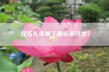 花线扎带属于商标第几类? 花线扎带属于商标第几类?