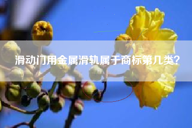 滑动门用金属滑轨属于商标第几类? 滑动门用金属滑轨属于商标第几类?