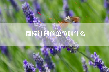 商标注册的单位叫什么 商标注册的单位叫什么