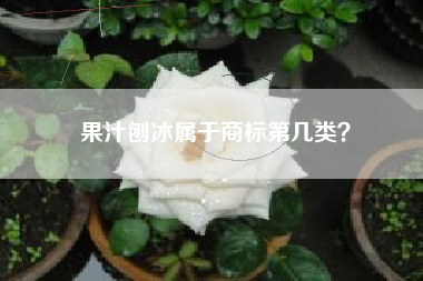 果汁刨冰属于商标第几类? 果汁刨冰属于商标第几类?