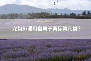 宠物排泄用盘属于商标第几类? 宠物排泄用盘属于商标第几类?