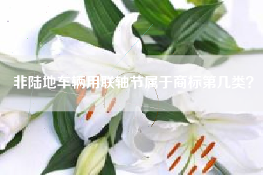 非陆地车辆用联轴节属于商标第几类? 非陆地车辆用联轴节属于商标第几类?