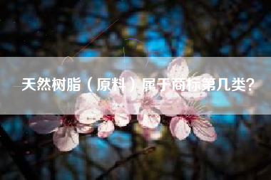 天然树脂(原料)属于商标第几类? 天然树脂(原料)属于商标第几类?