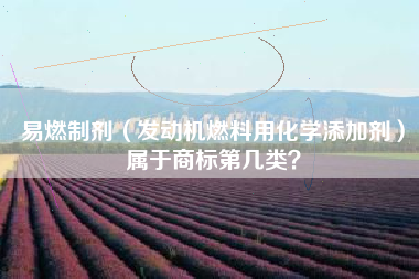 易燃制剂(发动机燃料用化学添加剂)属于商标第几类? 易燃制剂(发动机燃料用化学添加剂)属于商标第几类?