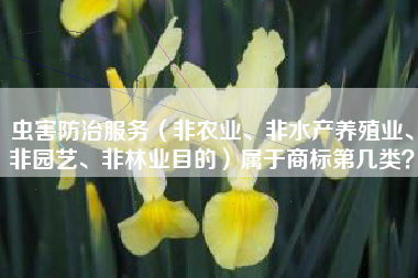 虫害防治服务(非农业、非水产养殖业、非园艺、非林业目的)属于商标第几类? 虫害防治服务(非农业、非水产养殖业、非园艺、非林业目的)属于商标第几类?