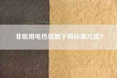 非医用电热毯属于商标第几类? 非医用电热毯属于商标第几类?