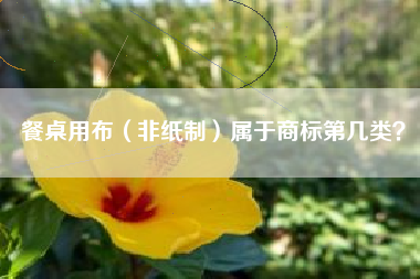 餐桌用布(非纸制)属于商标第几类? 餐桌用布(非纸制)属于商标第几类?