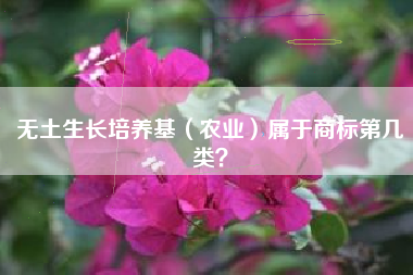 无土生长培养基(农业)属于商标第几类? 无土生长培养基(农业)属于商标第几类?