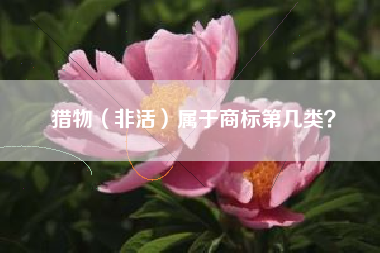 猎物(非活)属于商标第几类? 猎物(非活)属于商标第几类?