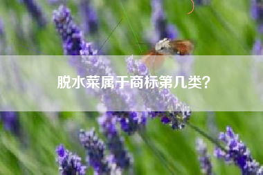 脱水菜属于商标第几类? 脱水菜属于商标第几类?