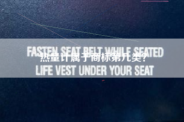 热量计属于商标第几类? 热量计属于商标第几类?