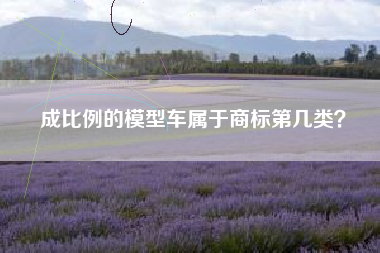 成比例的模型车属于商标第几类? 成比例的模型车属于商标第几类?