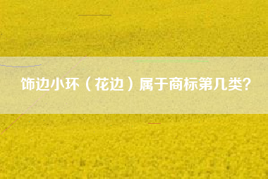 饰边小环(花边)属于商标第几类? 饰边小环(花边)属于商标第几类?