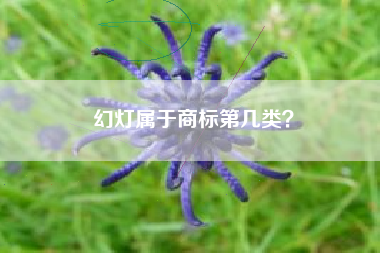 幻灯属于商标第几类? 幻灯属于商标第几类?