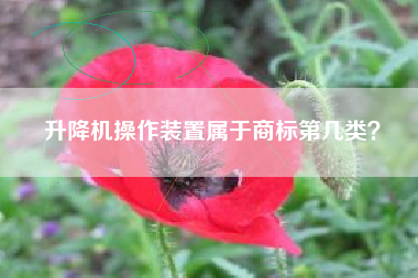 升降机操作装置属于商标第几类? 升降机操作装置属于商标第几类?