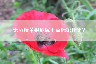 无酒精苹果酒属于商标第几类? 无酒精苹果酒属于商标第几类?