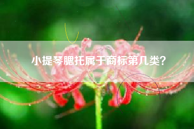 小提琴腮托属于商标第几类? 小提琴腮托属于商标第几类?