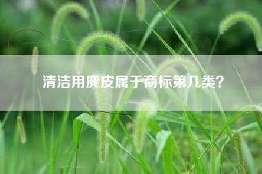 清洁用麂皮属于商标第几类? 清洁用麂皮属于商标第几类?