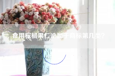 食用棕榈果仁油属于商标第几类? 食用棕榈果仁油属于商标第几类?
