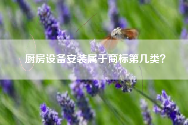 厨房设备安装属于商标第几类? 厨房设备安装属于商标第几类?