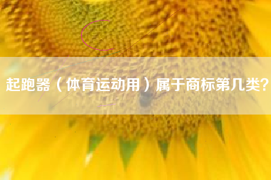 起跑器(体育运动用)属于商标第几类? 起跑器(体育运动用)属于商标第几类?