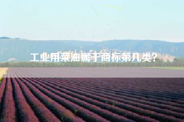 工业用菜油属于商标第几类? 工业用菜油属于商标第几类?