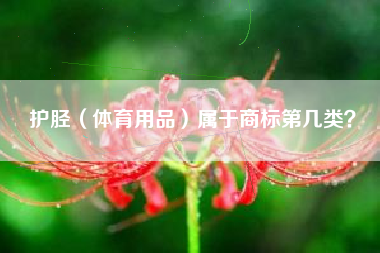 护胫(体育用品)属于商标第几类? 护胫(体育用品)属于商标第几类?