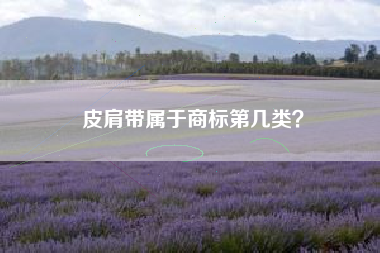 皮肩带属于商标第几类? 皮肩带属于商标第几类?