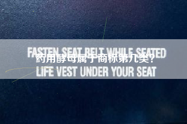 药用酵母属于商标第几类? 药用酵母属于商标第几类?