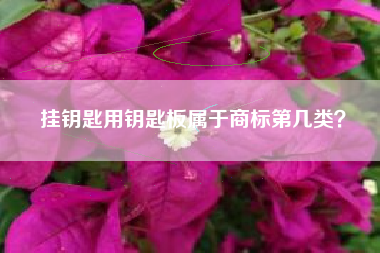 挂钥匙用钥匙板属于商标第几类? 挂钥匙用钥匙板属于商标第几类?