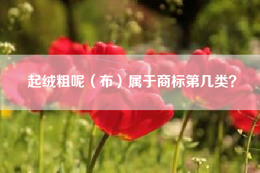 起绒粗呢(布)属于商标第几类? 起绒粗呢(布)属于商标第几类?