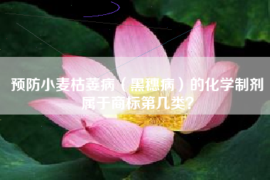 预防小麦枯萎病(黑穗病)的化学制剂属于商标第几类? 预防小麦枯萎病(黑穗病)的化学制剂属于商标第几类?