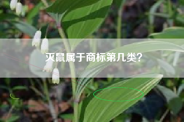 灭鼠属于商标第几类? 灭鼠属于商标第几类?