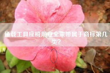 运载工具座椅用安全束带属于商标第几类? 运载工具座椅用安全束带属于商标第几类?