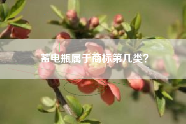 蓄电瓶属于商标第几类? 蓄电瓶属于商标第几类?