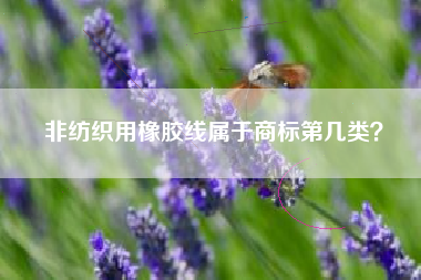 非纺织用橡胶线属于商标第几类? 非纺织用橡胶线属于商标第几类?