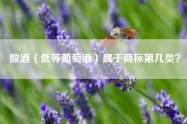 酸酒(低等葡萄酒)属于商标第几类? 酸酒(低等葡萄酒)属于商标第几类?
