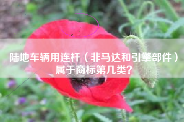 陆地车辆用连杆(非马达和引擎部件)属于商标第几类? 陆地车辆用连杆(非马达和引擎部件)属于商标第几类?