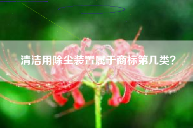 清洁用除尘装置属于商标第几类? 清洁用除尘装置属于商标第几类?