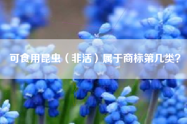 可食用昆虫(非活)属于商标第几类? 可食用昆虫(非活)属于商标第几类?