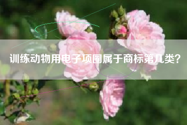 训练动物用电子项圈属于商标第几类? 训练动物用电子项圈属于商标第几类?