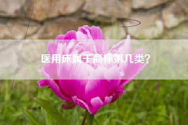 医用床属于商标第几类? 医用床属于商标第几类?